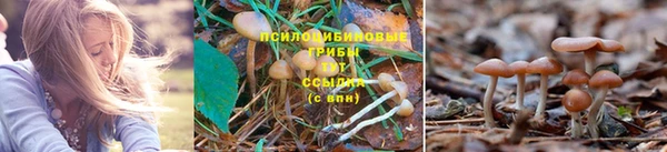 МДМА Алексеевка