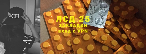стафф Алзамай