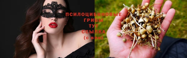 стафф Алзамай