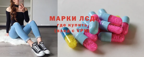 стафф Алзамай