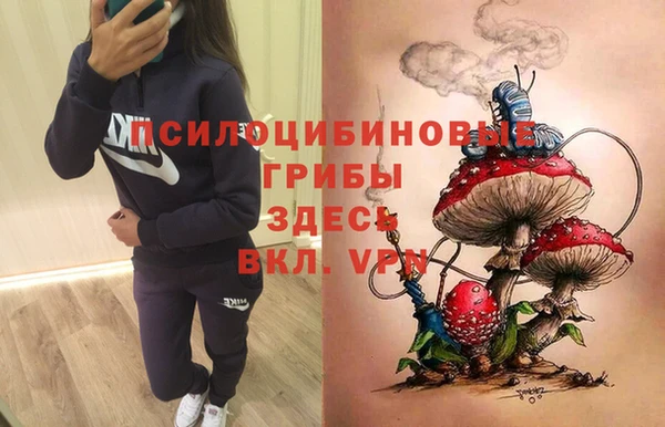 спайс Алексин
