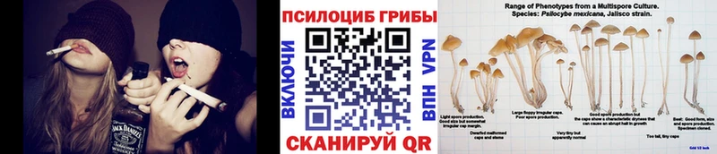 Псилоцибиновые грибы MAGIC MUSHROOMS  Переславль-Залесский 