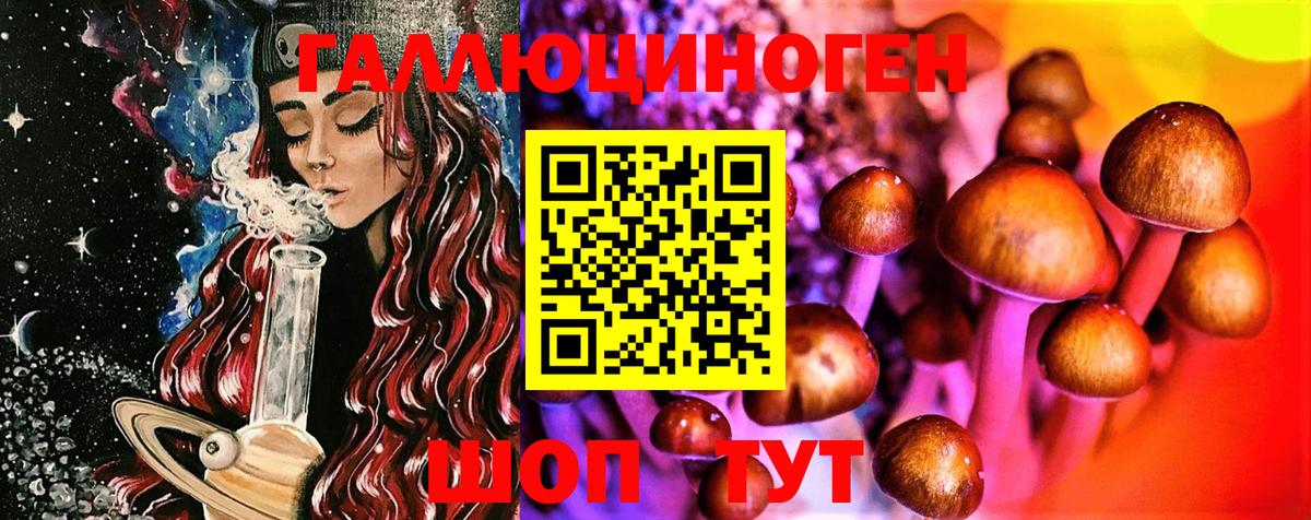 Псилоцибиновые грибы Cubensis Переславль-Залесский
